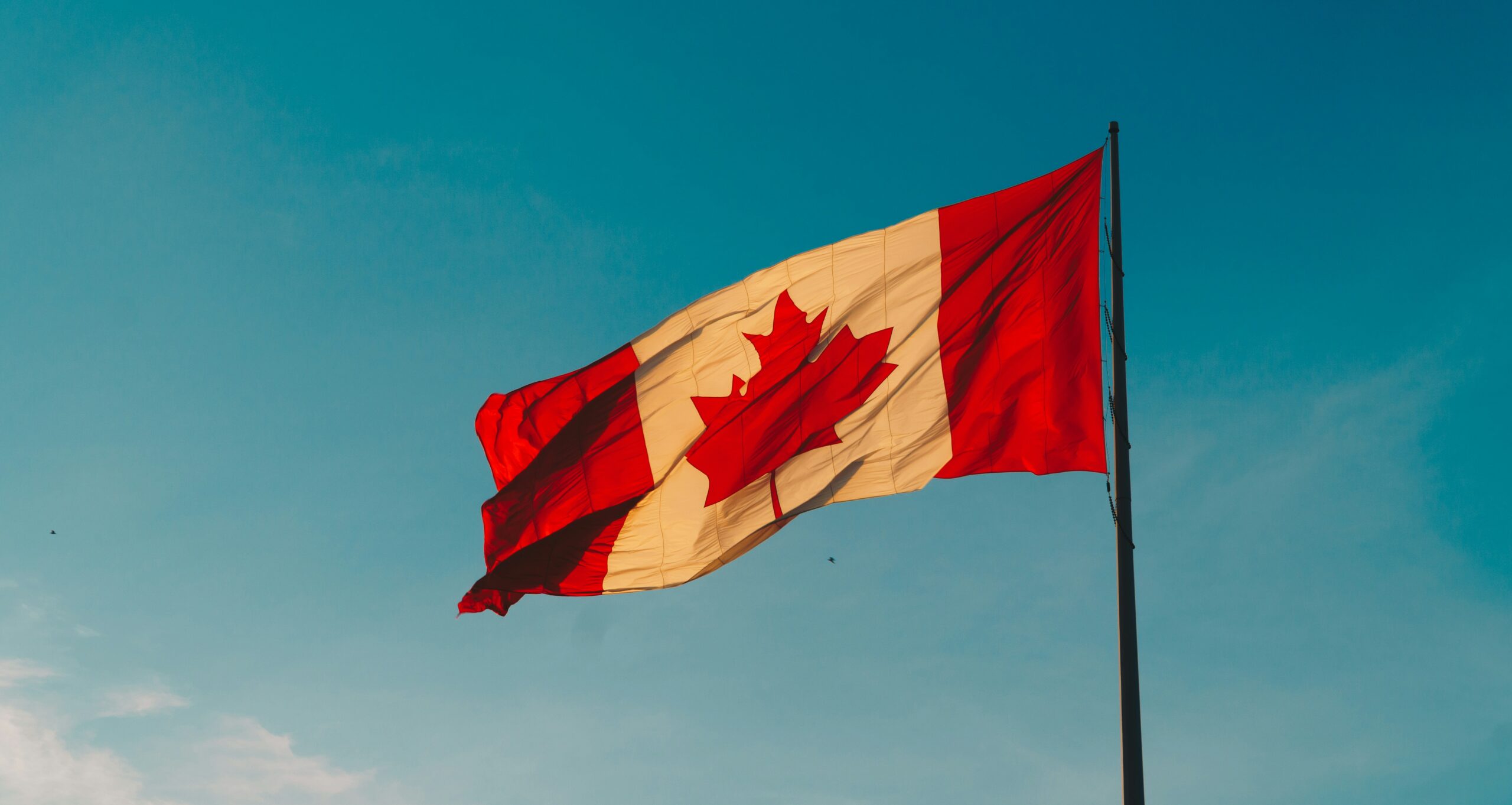 Do Expats in Canada Need Private Health Insurance?