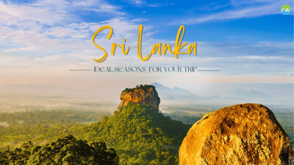 Sri Lanka Travel Guide: Ultimate Island Escape